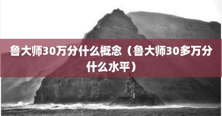 鲁大师30万分什么概念（鲁大师30多万分什么水平）