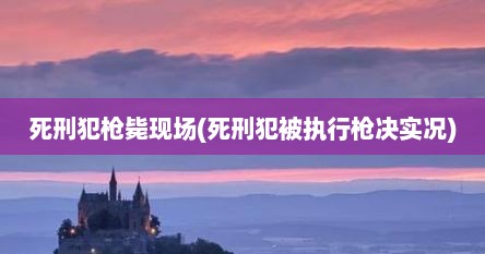 死刑犯枪毙现场(死刑犯被执行枪决实况)