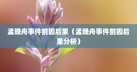 孟晚舟事件前因后果（孟晚舟事件前因后果分析）