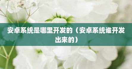 安卓系统是哪里开发的（安卓系统谁开发出来的）