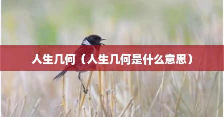 人生几何（人生几何是什么意思）