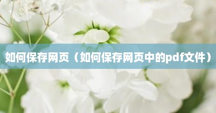 如何保存网页（如何保存网页中的pdf文件）