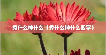 秀什么神什么（秀什么神什么四字）