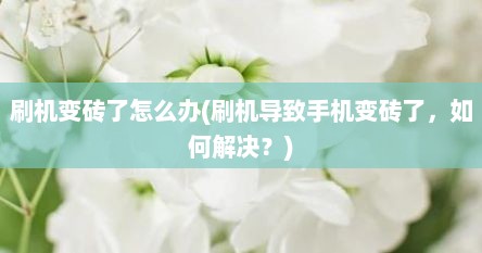 刷机变砖了怎么办(刷机导致手机变砖了，如何解决？)