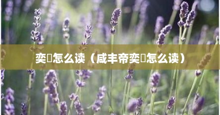 奕詝怎么读（咸丰帝奕詝怎么读）