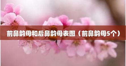 前鼻韵母和后鼻韵母表图（前鼻韵母5个）