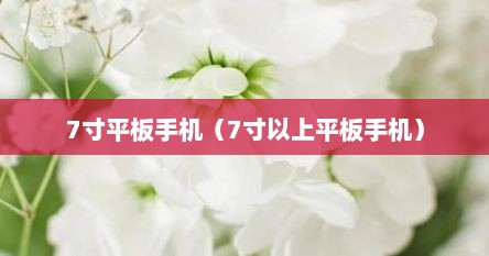 7寸平板手机（7寸以上平板手机）