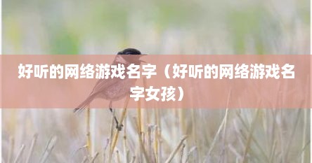 好听的网络游戏名字（好听的网络游戏名字女孩）