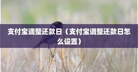 支付宝调整还款日（支付宝调整还款日怎么设置）