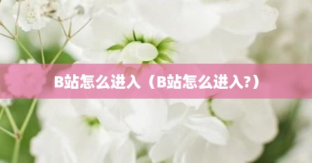 B站怎么进入（B站怎么进入?）