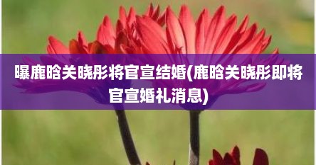 曝鹿晗关晓彤将官宣结婚(鹿晗关晓彤即将官宣婚礼消息)