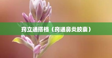 窍立通搭档（窍通鼻炎胶囊）