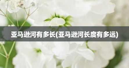 亚马逊河有多长(亚马逊河长度有多远)