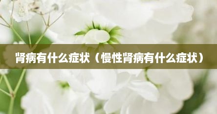 肾病有什么症状（慢性肾病有什么症状）