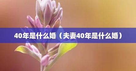 40年是什么婚（夫妻40年是什么婚）