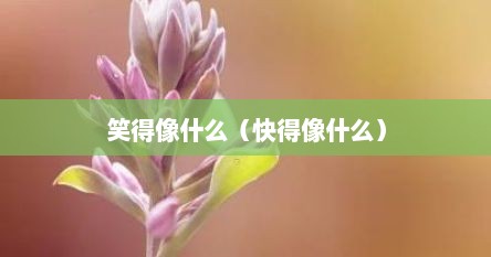 笑得像什么（快得像什么）