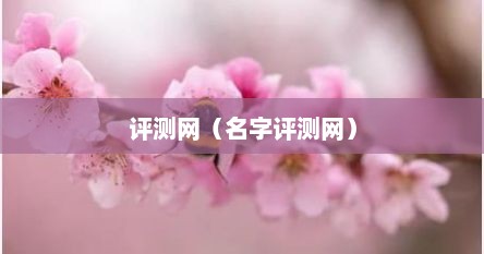 评测网（名字评测网）