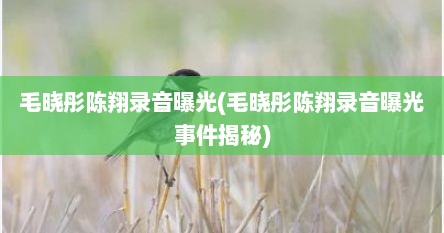 毛晓彤陈翔录音曝光(毛晓彤陈翔录音曝光事件揭秘)