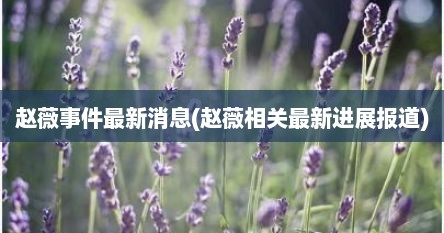 赵薇事件最新消息(赵薇相关最新进展报道)