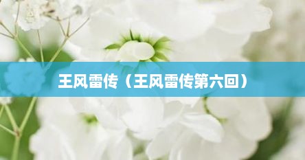 王风雷传（王风雷传第六回）