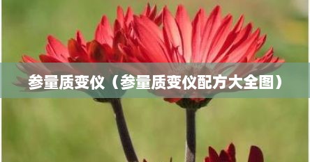 参量质变仪（参量质变仪配方大全图）