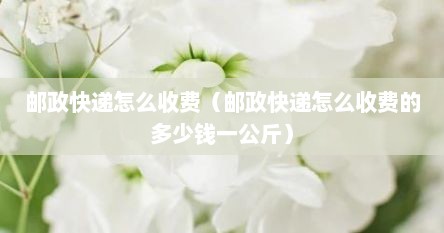 邮政快递怎么收费（邮政快递怎么收费的多少钱一公斤）