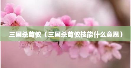 三国杀荀攸（三国杀荀攸技能什么意思）