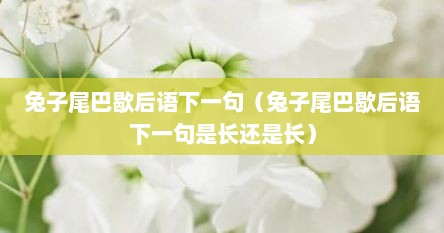 兔子尾巴歇后语下一句（兔子尾巴歇后语下一句是长还是长）