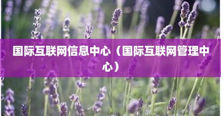 国际互联网信息中心（国际互联网管理中心）