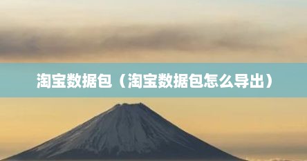 淘宝数据包（淘宝数据包怎么导出）