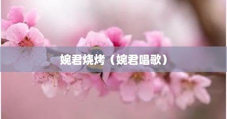 婉君烧烤（婉君唱歌）