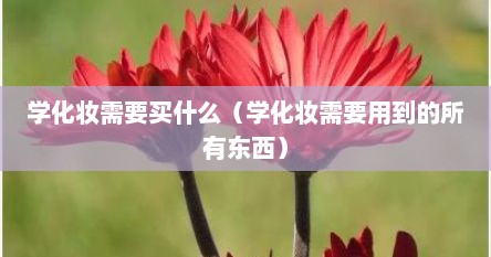 学化妆需要买什么（学化妆需要用到的所有东西）