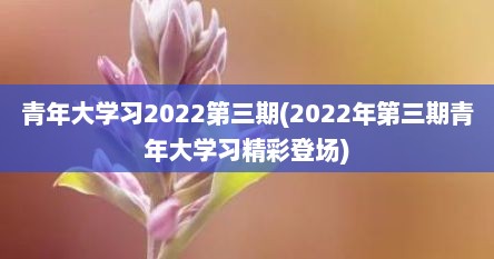 青年大学习2022第三期(2022年第三期青年大学习精彩登场)