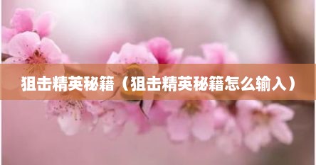 狙击精英秘籍（狙击精英秘籍怎么输入）