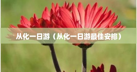 从化一日游（从化一日游最佳安排）