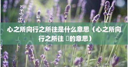 心之所向行之所往是什么意思（心之所向 行之所往 ️的意思）