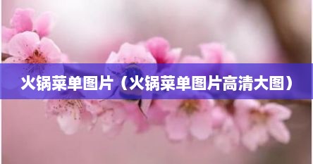 火锅菜单图片（火锅菜单图片高清大图）