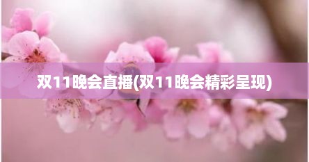 双11晚会直播(双11晚会精彩呈现)