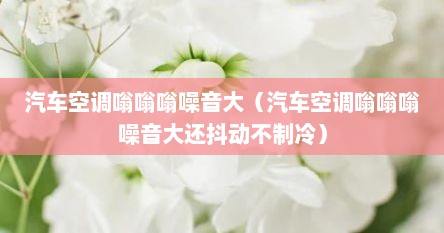 汽车空调嗡嗡嗡噪音大（汽车空调嗡嗡嗡噪音大还抖动不制冷）