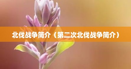 北伐战争简介（第二次北伐战争简介）