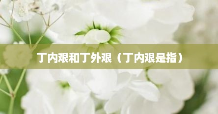 丁内艰和丁外艰（丁内艰是指）