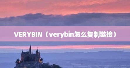 VERYBIN（verybin怎么复制链接）