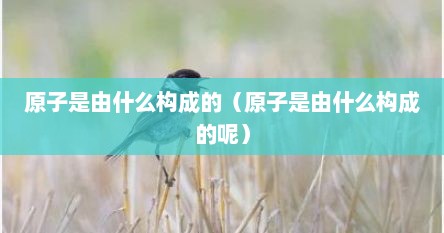 原子是由什么构成的（原子是由什么构成的呢）