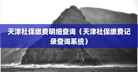 天津社保缴费明细查询（天津社保缴费记录查询系统）