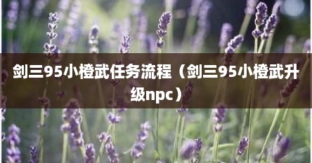 剑三95小橙武任务流程（剑三95小橙武升级npc）