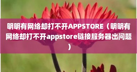 明明有网络却打不开APPSTORE（明明有网络却打不开appstore链接服务器出问题）