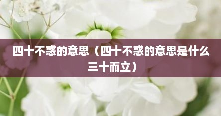 四十不惑的意思（四十不惑的意思是什么 三十而立）