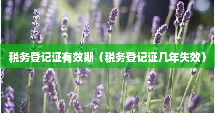 税务登记证有效期（税务登记证几年失效）