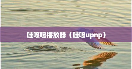 哇嘎嘎播放器（哇嘎upnp）