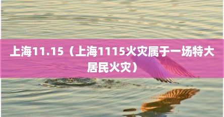 上海11.15（上海1115火灾属于一场特大居民火灾）